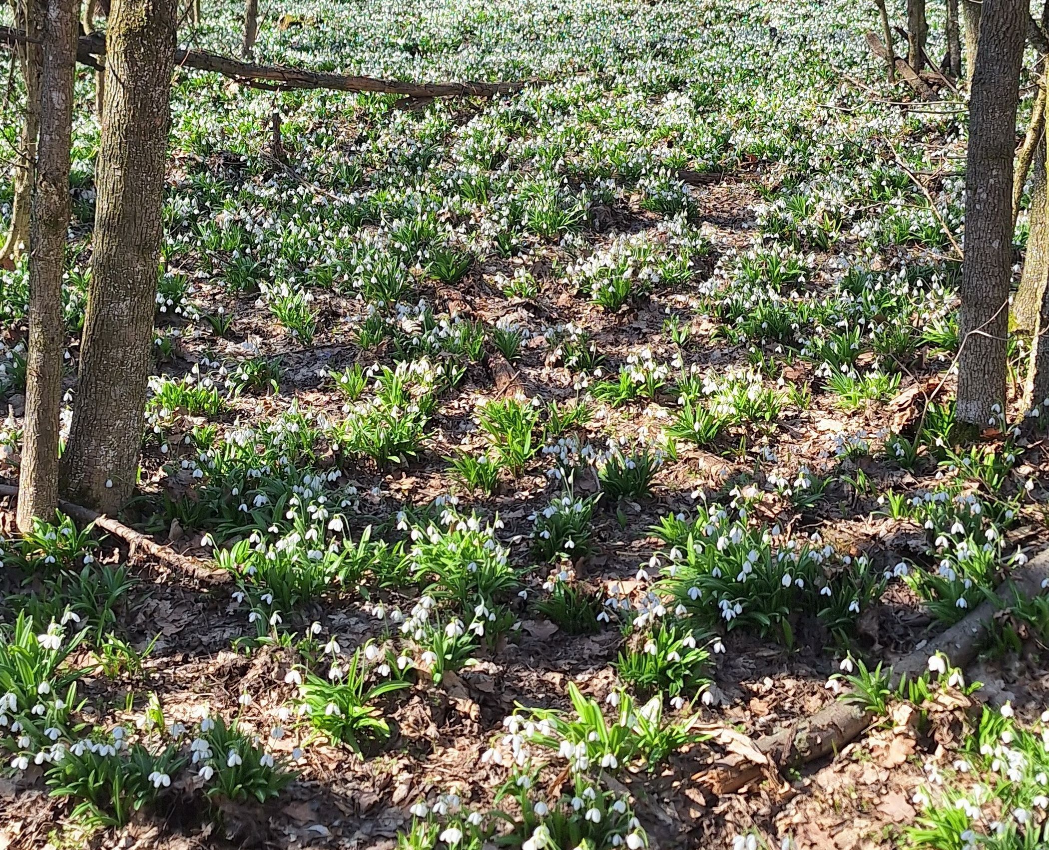 20260315_130431_новый размер.jpg