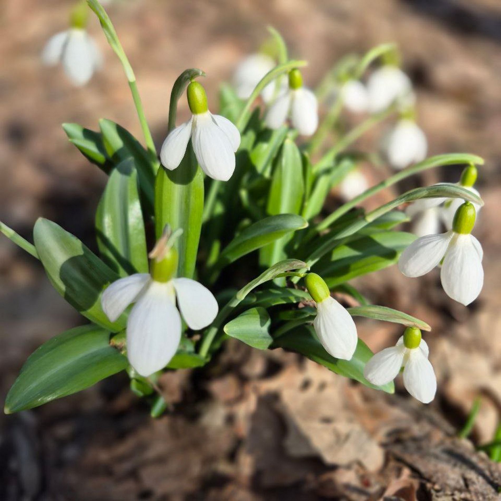 651187971_854248884305536_3898542816426804697_n_новый размер.jpg