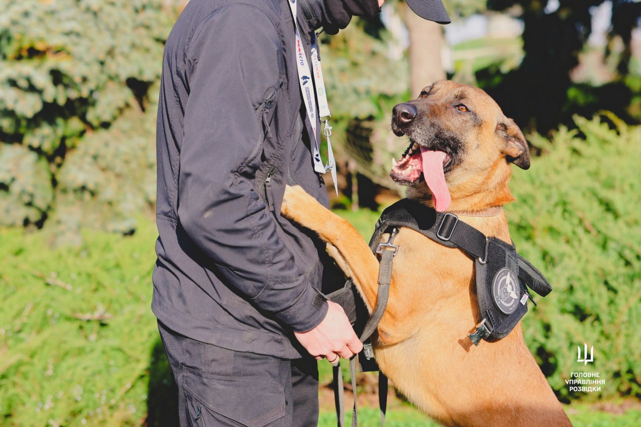 photo_2025-11-28_13-39-30_новый размер.jpg